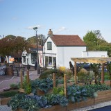 Town centre food gardens in Letchworth, UK